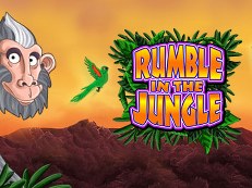 rumble in the jungle slot