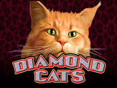 diamond cats
