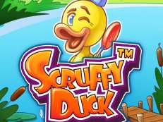 scruffy duck